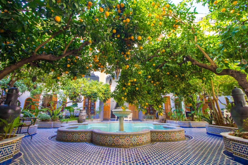 Morocco’s Sweet Scent: Orange Blossom Water