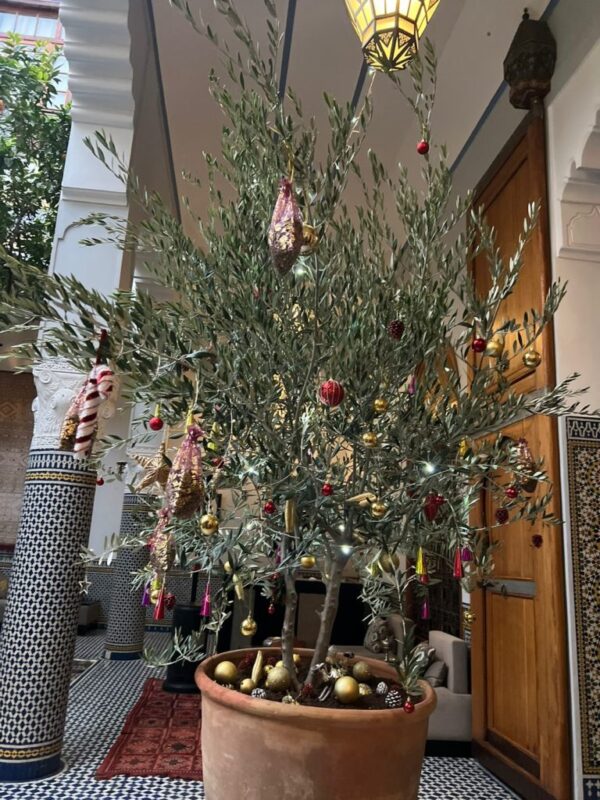 The Christmas Olive tree: Symbol of peace and light | Palais Amani