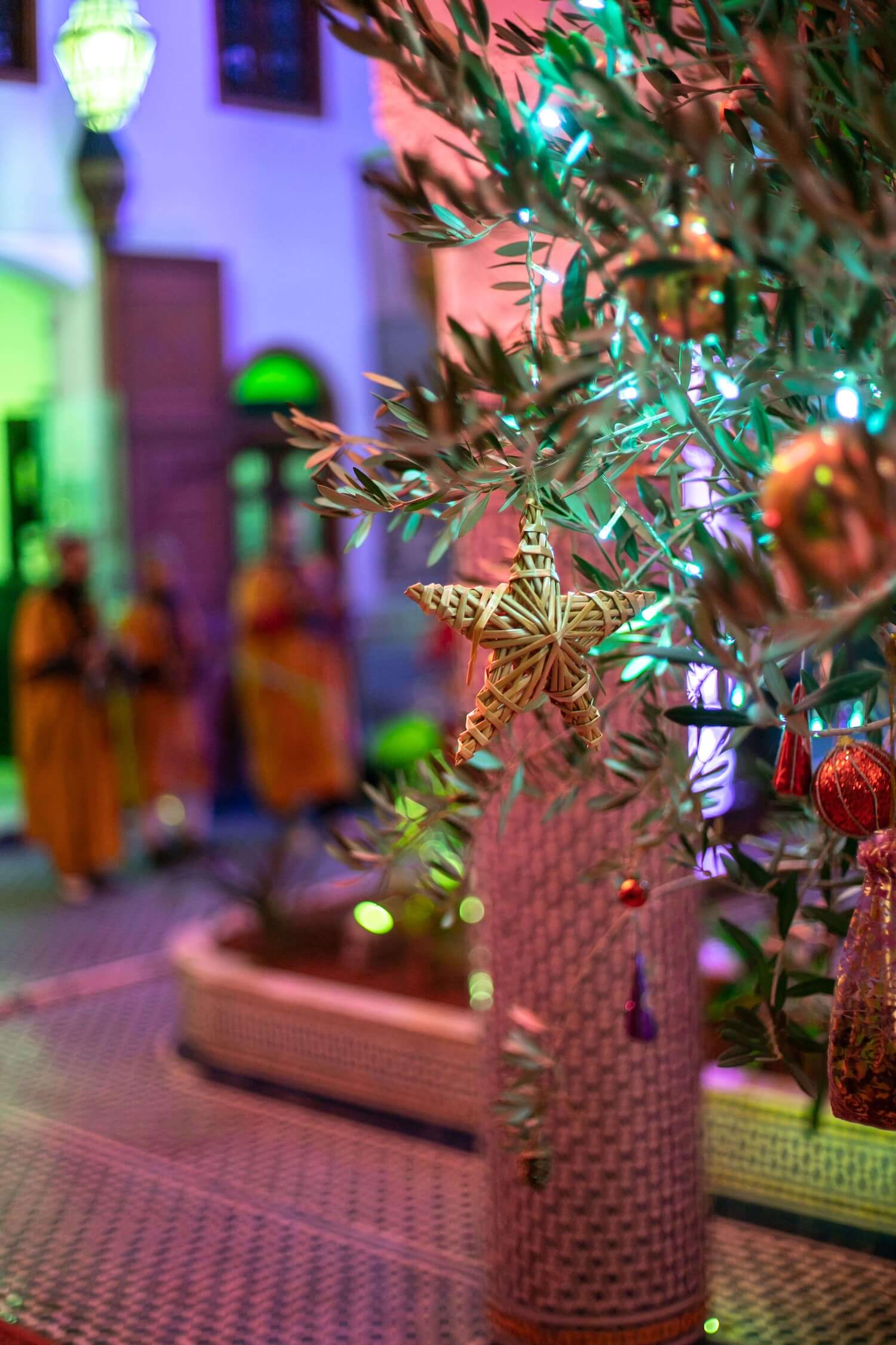 Christmas-Olive-Tree-